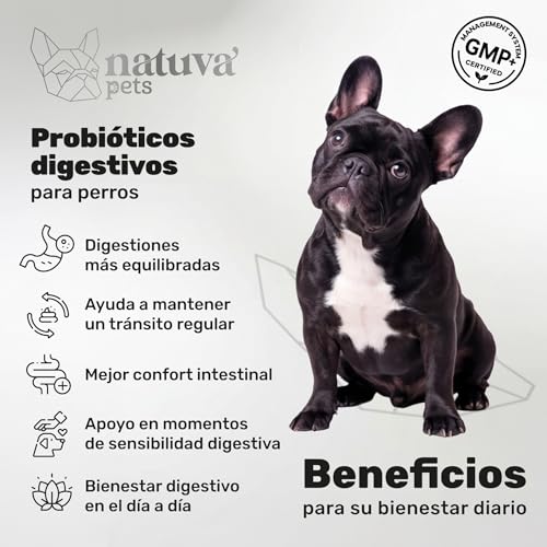 Thumbnail 1 de Probiótico para Perros de natuva pets – Repara la Flora Intestinal y Refuerza el Sistema Inmunológico