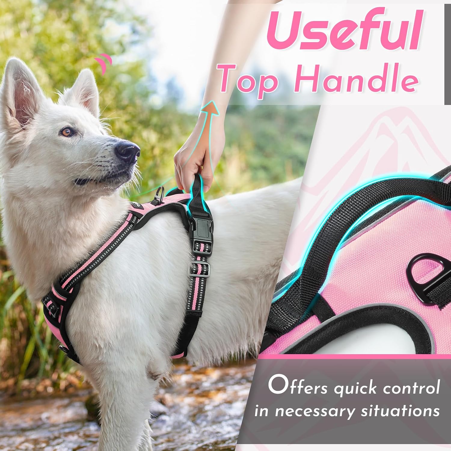 Detalle 2 de Eagloo Dog Harness Large