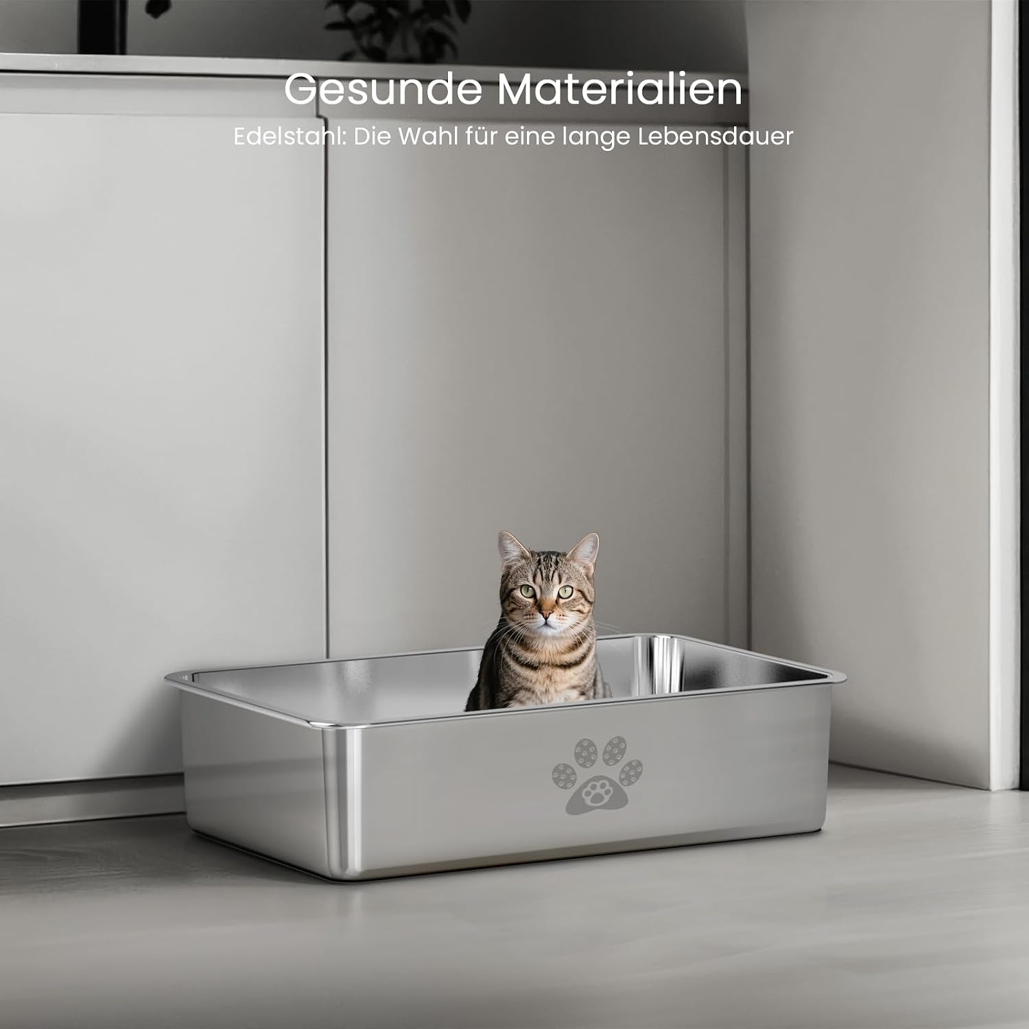 Detalle de PTLOM Lebensmittelgrade Katzenklo aus Edelstahl (M) mit niedrigem Einstieg und abgerundeten Kanten
