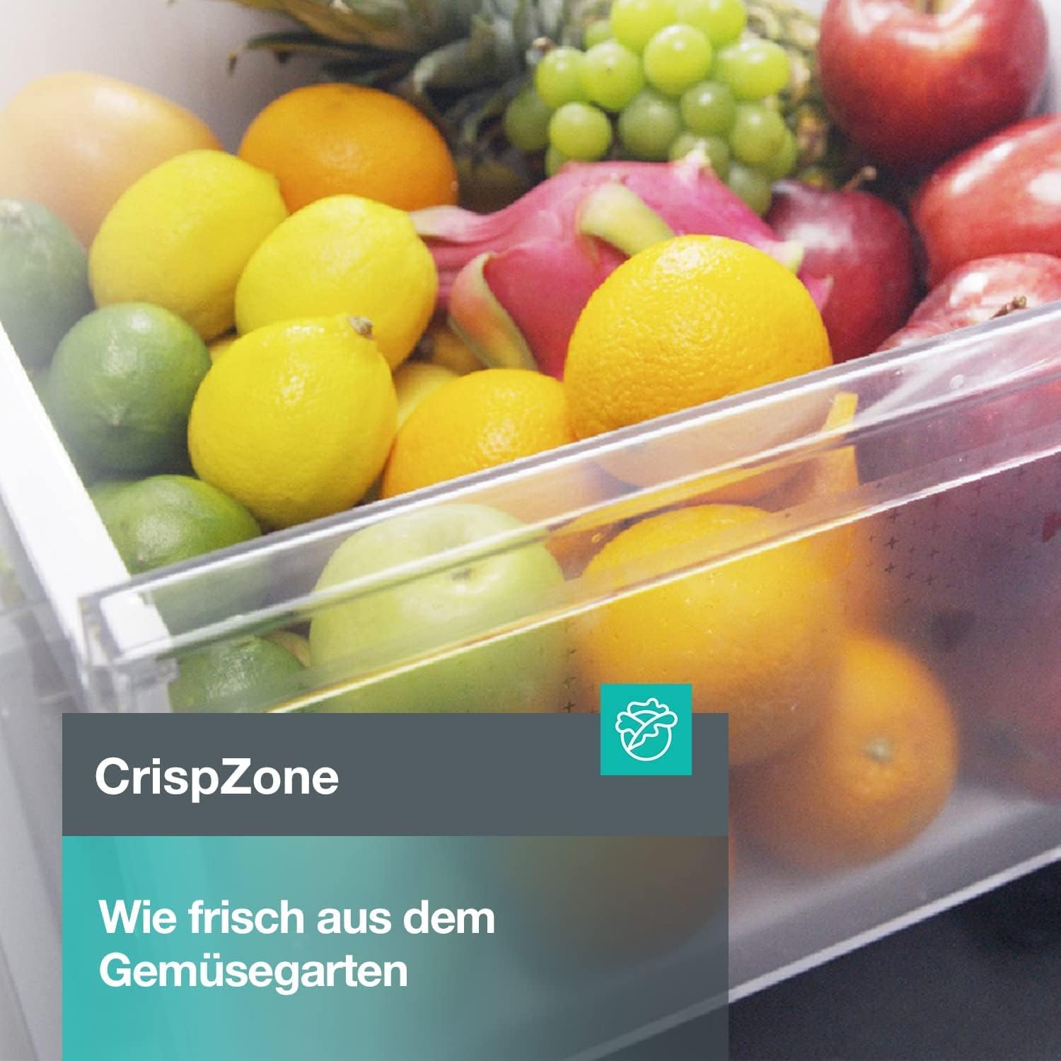 Detalle 2 de Gorenje R4142PS Kühlschrank – Kühlteil 242 Liter, 143,4 cm hoch, CrispZone, LED-Beleuchtung, Silber