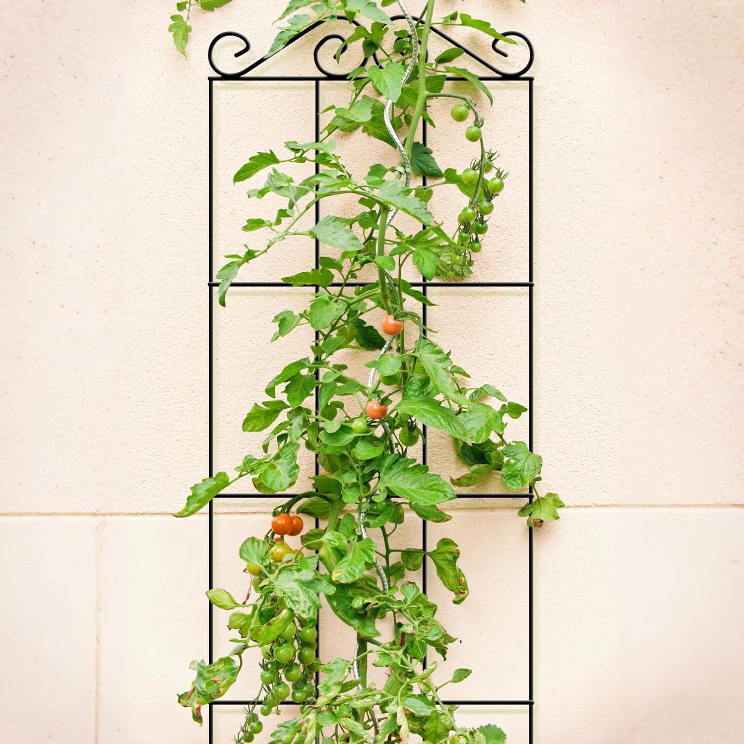 Thumbnail 4 de ARIFARO 147cm / 58" Metal Garden Trellis (Pack of 4) for Climbing Plants