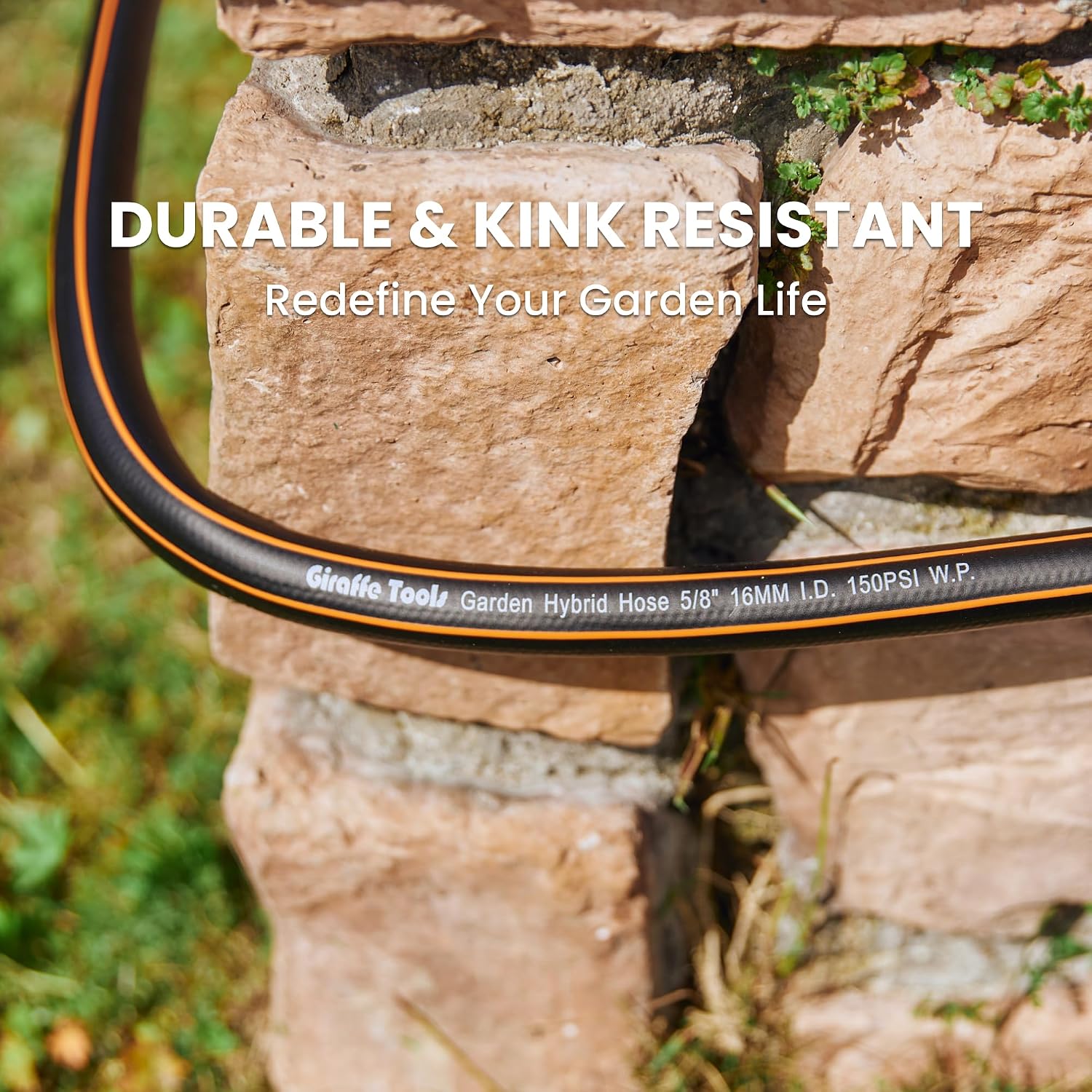 Detalle 2 de Giraffe Tools Garden Hose 10 ft
