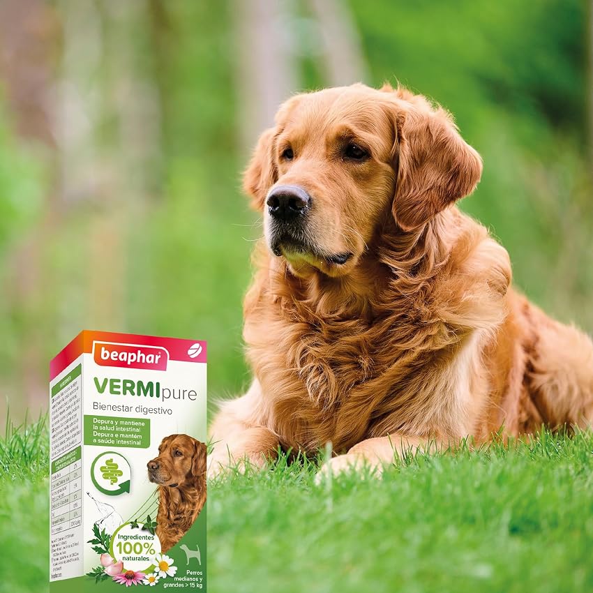 Thumbnail 6 de Beaphar VERMIpure Comprimidos para perros medianos y grandes 50 comprimidos