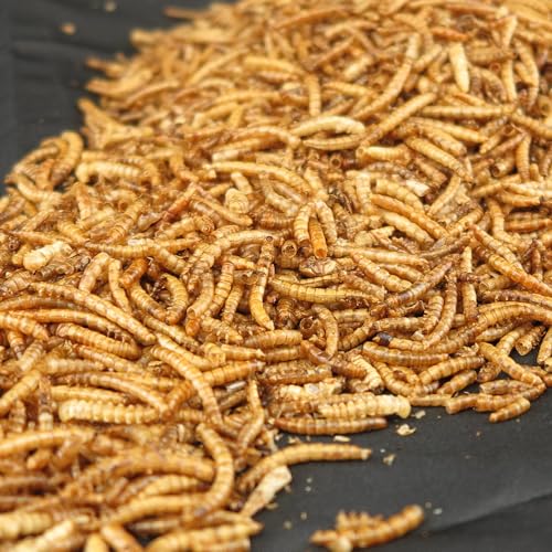 Thumbnail 8 de UKGROW 10L Premium value Dried Mealworms for birds (10L) by Invigortex