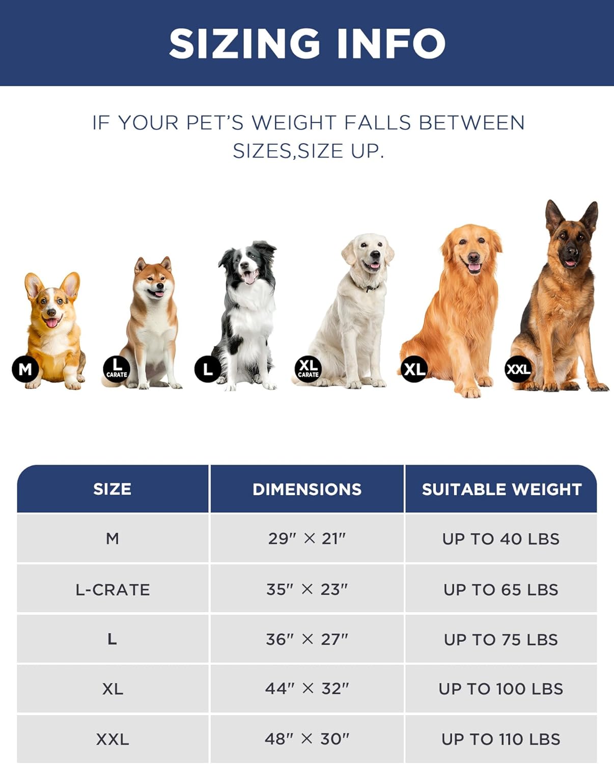 Thumbnail 6 de Joydeco Low-Profile Reversible Dog Mat Bed Pad (112x81cm) in Light Grey