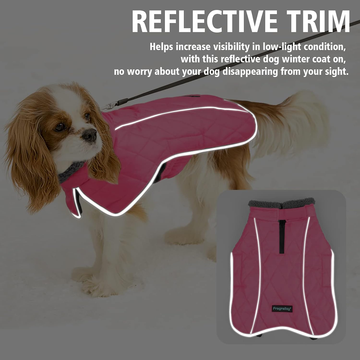 Detalle de Fragralley Dog Coat, 3XL