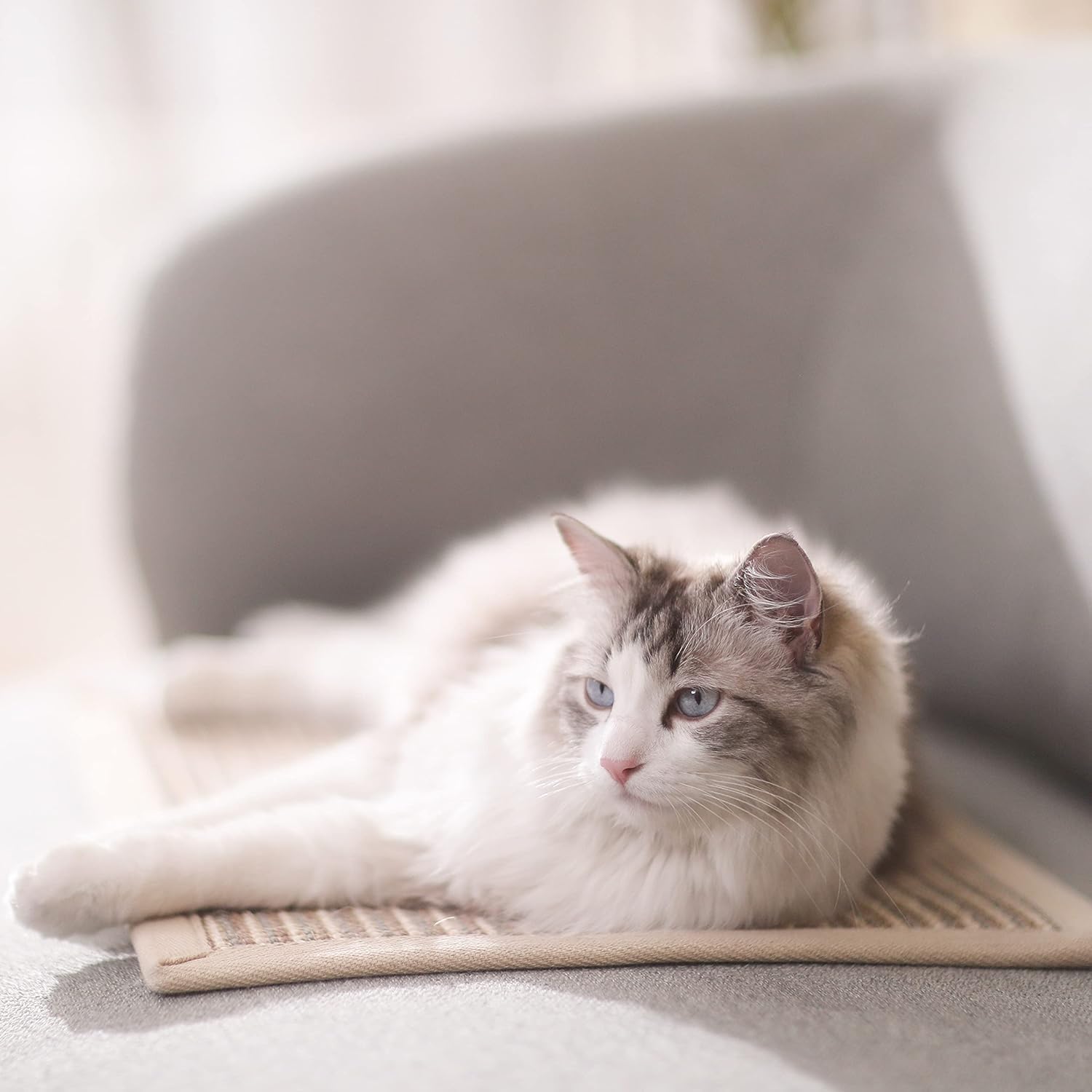 Detalle de FUKUMARU cat scratcher mat 40 x 60 cm