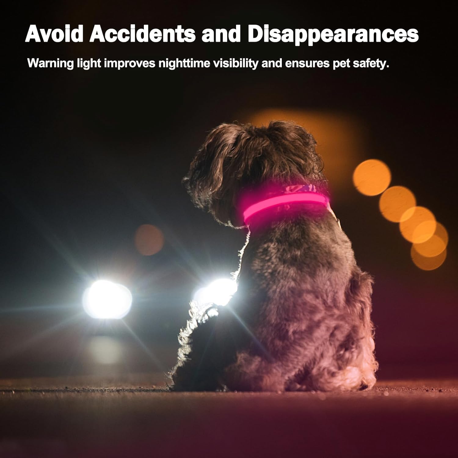 Thumbnail 2 de Nepfaivy Light Up Dog Collar with USB Rechargeable LED Lights (Pink-L) for Night Walks