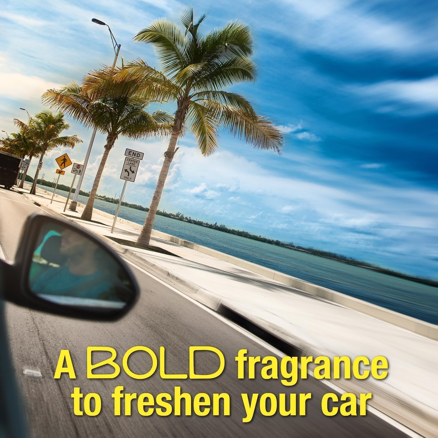 Detalle 2 de California Scents Ambientador en lata 42 g