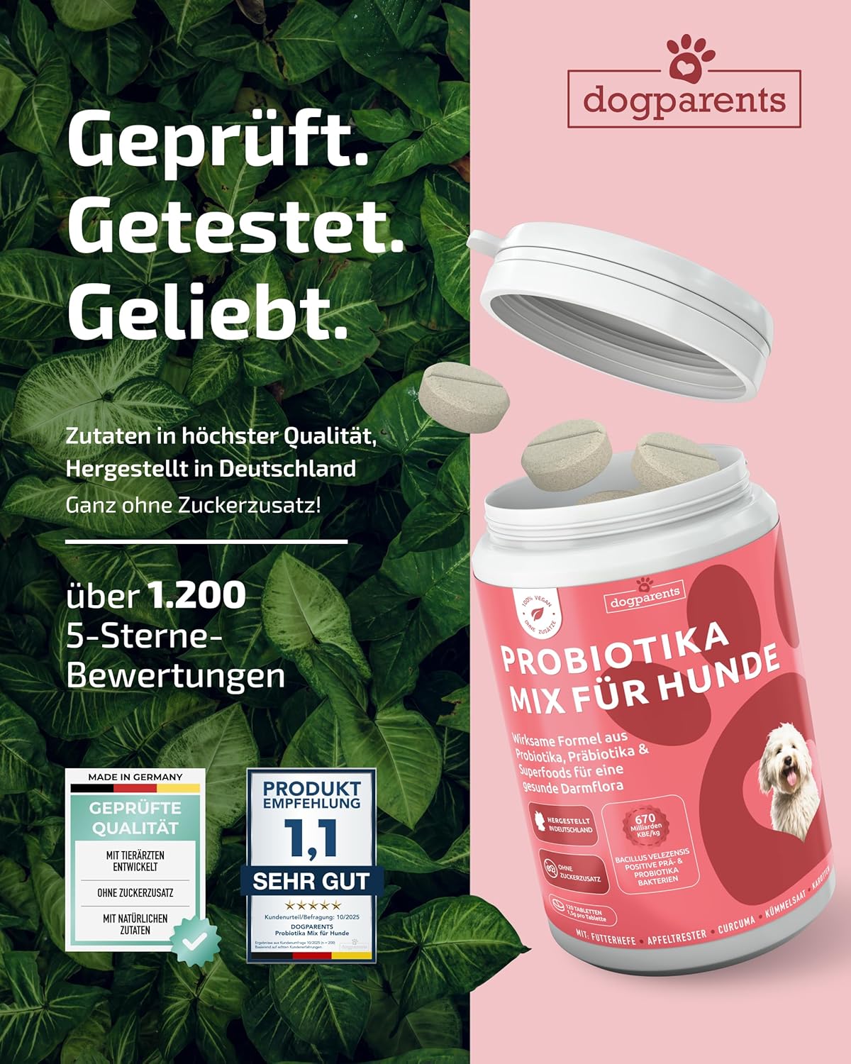 Thumbnail 5 de DOGPARENTS Prä & Probiotika Hund 670 Mrd. KBE