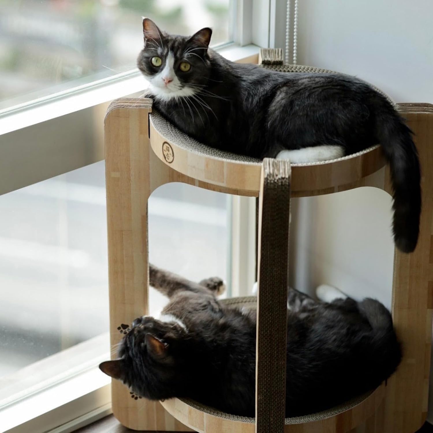 Detalle de 猫壱 バリバリボウルタワー XL ダークブラウン 猫用爪とぎ・ベッド