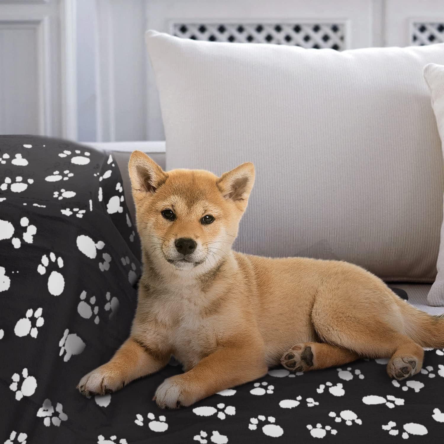 Detalle de Nobleza morbida coperta in pile per cani e gatti, 6 pezzi (Nero) 160 x 100 cm