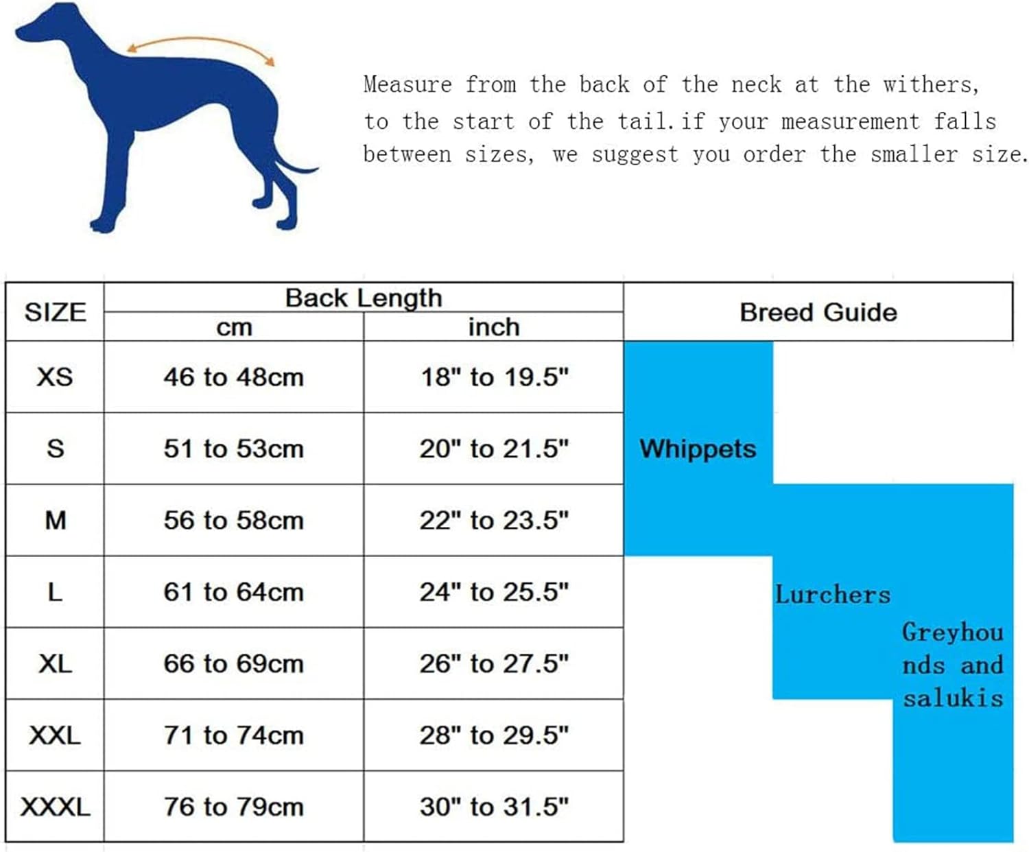 Thumbnail 2 de Morezi Greyhound Winter Coat (Whippet Coat) with Padded Fleece Lining – Water Resistant, Reflective & Adjustable Bands, Black, Large