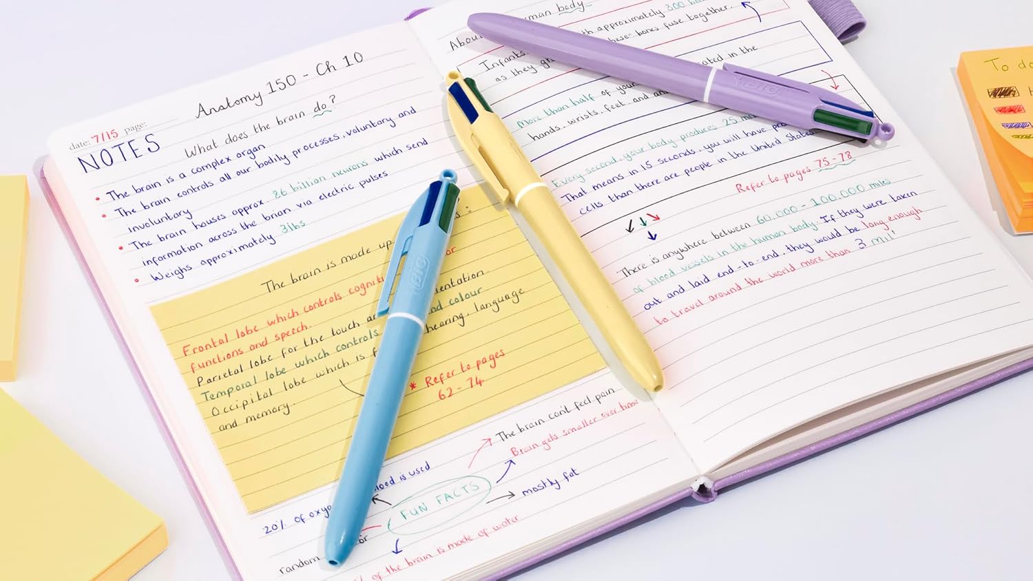 Thumbnail 2 de BIC 4 Couleurs Pastel — Stylos-Bille Pointe Moyenne 1,00 mm (Pack de 6)