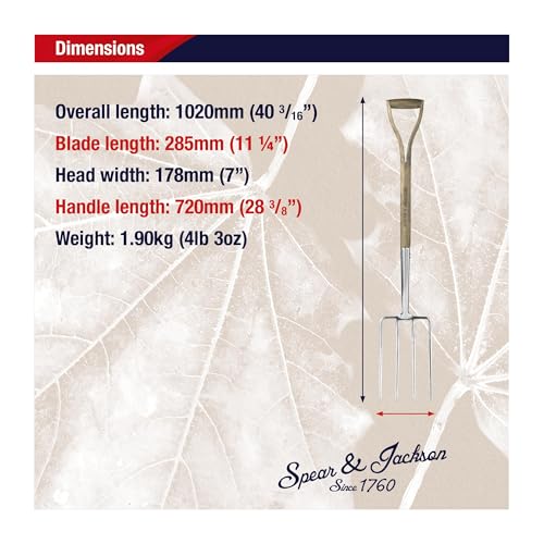 Detalle de Spear & Jackson 4550DF Traditional Stainless Steel Digging Fork