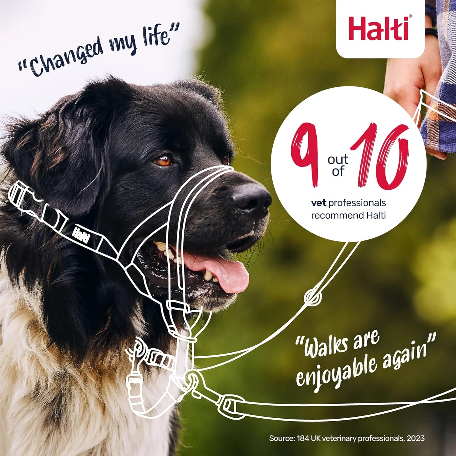 Thumbnail 5 de Halti Halfter Hundetraining Halsband Größe 2 Rot