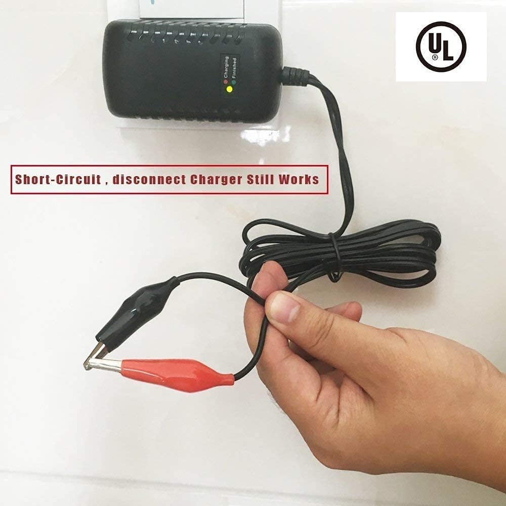 Detalle 1 de Caricabatterie 12V mantenitore intelligente per batterie al piombo