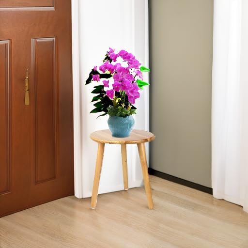Detalle 1 de Ethuh 12-Inch Round Wooden Plant Stand and Small Side Table