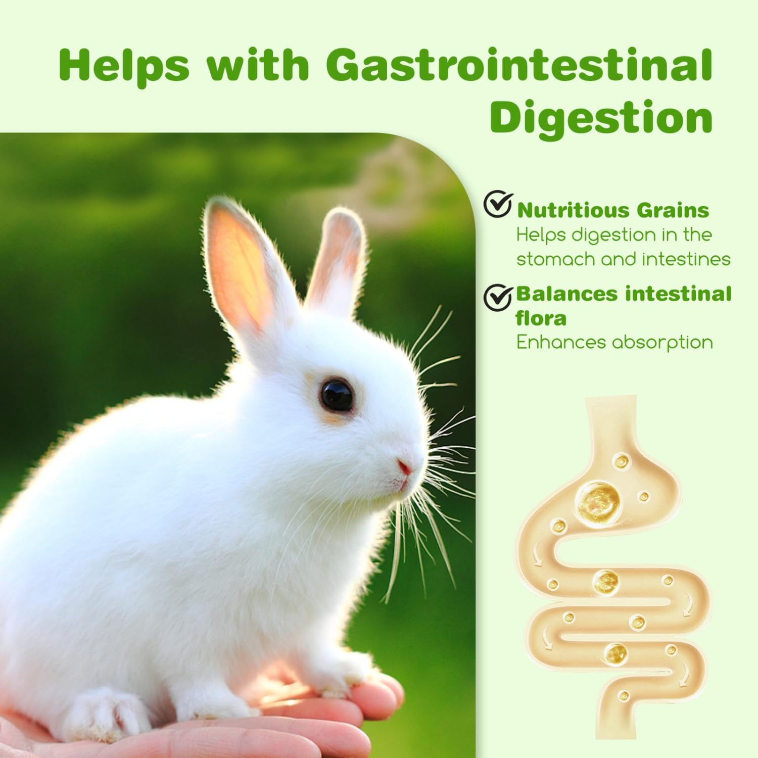 Thumbnail 4 de Nobleza Alimentation pour Lapin (700 g) – mélange de grains, vitamines et soutien de la digestion