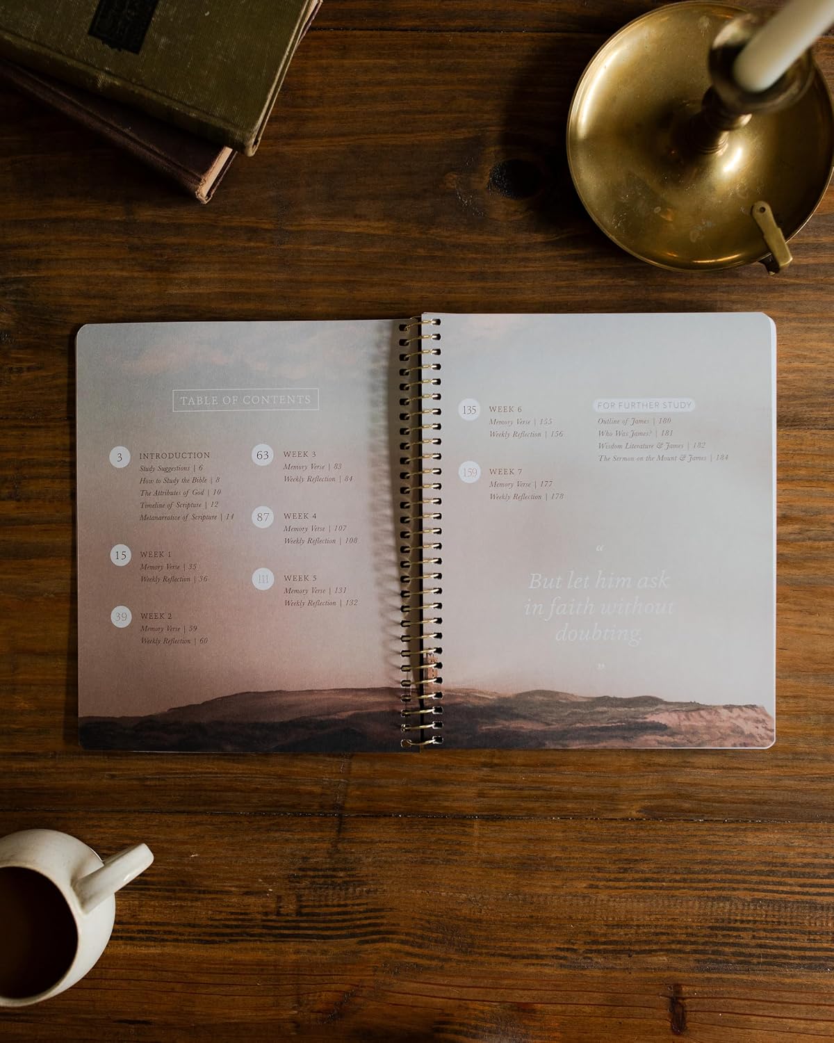 Detalle de The Daily Grace Co. James | The Steadfast Life Bible Study, 7-Week Spiral-Bound