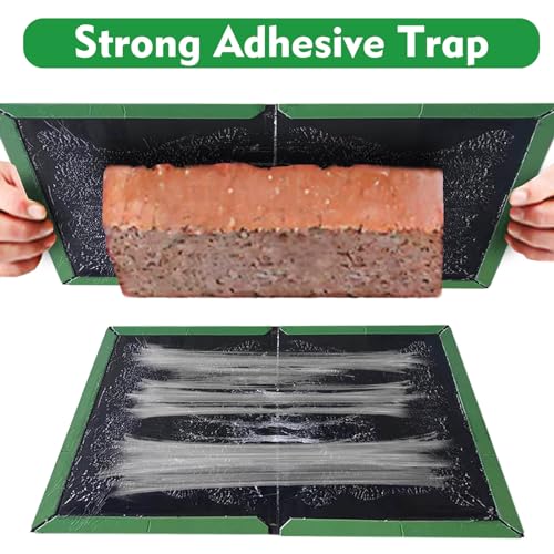 Detalle de GroZythre insect glue traps, 8-pack