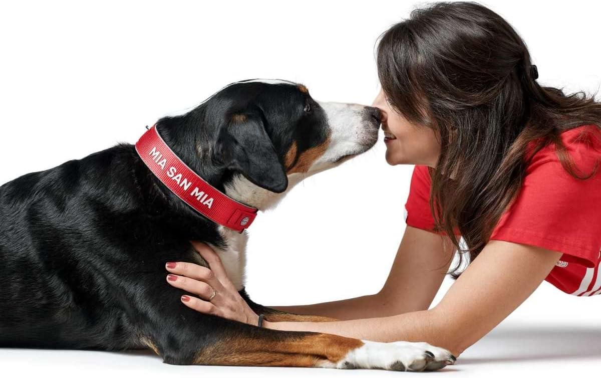 Detalle de Hunter Neopren Reflect FC Bayern München Hundehalsband, M-L (55), rot/grau