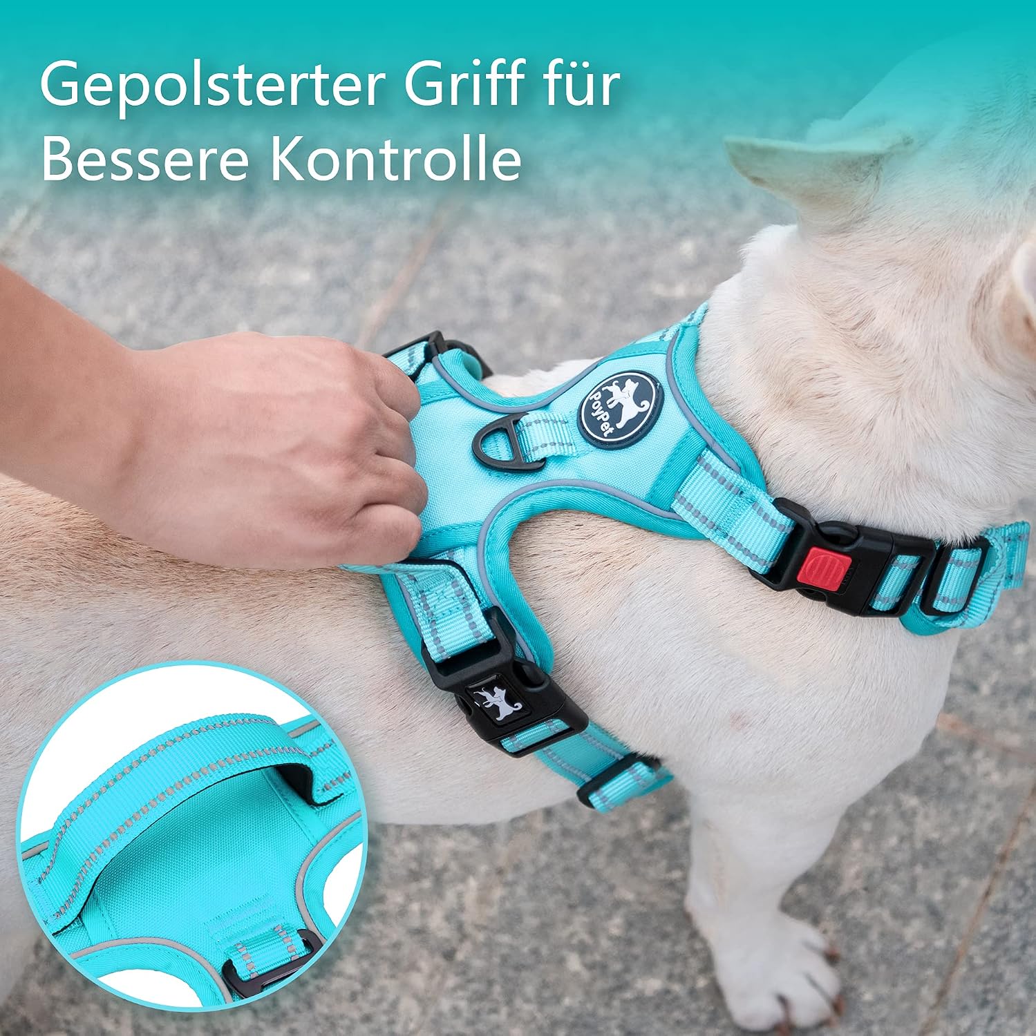 Detalle de PoyPet Hundegeschirr ohne Zug – Reflektierendes, verstellbares Geschirr für mittelgroße Hunde (Mint Blau, Größe M)