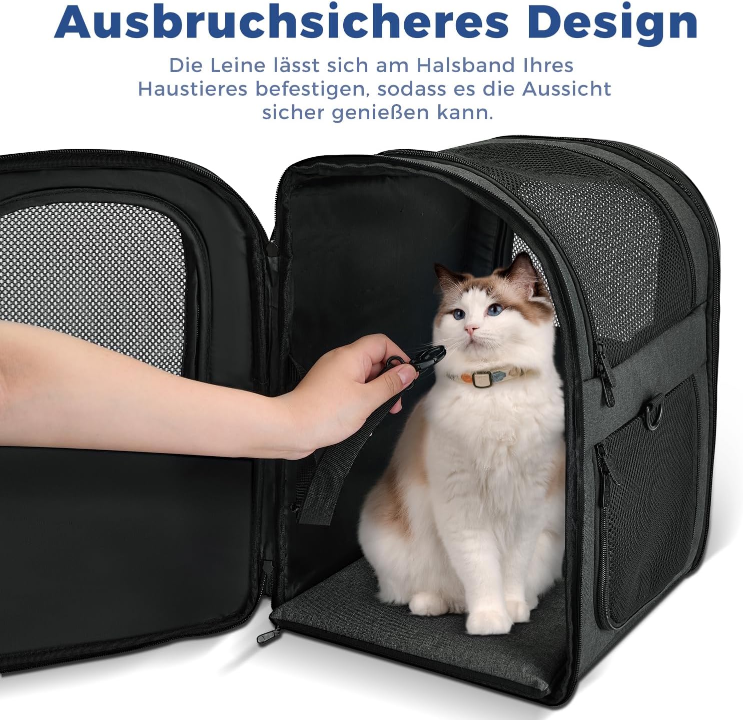 Detalle de apollo walker HundeRucksack 2–15 kg