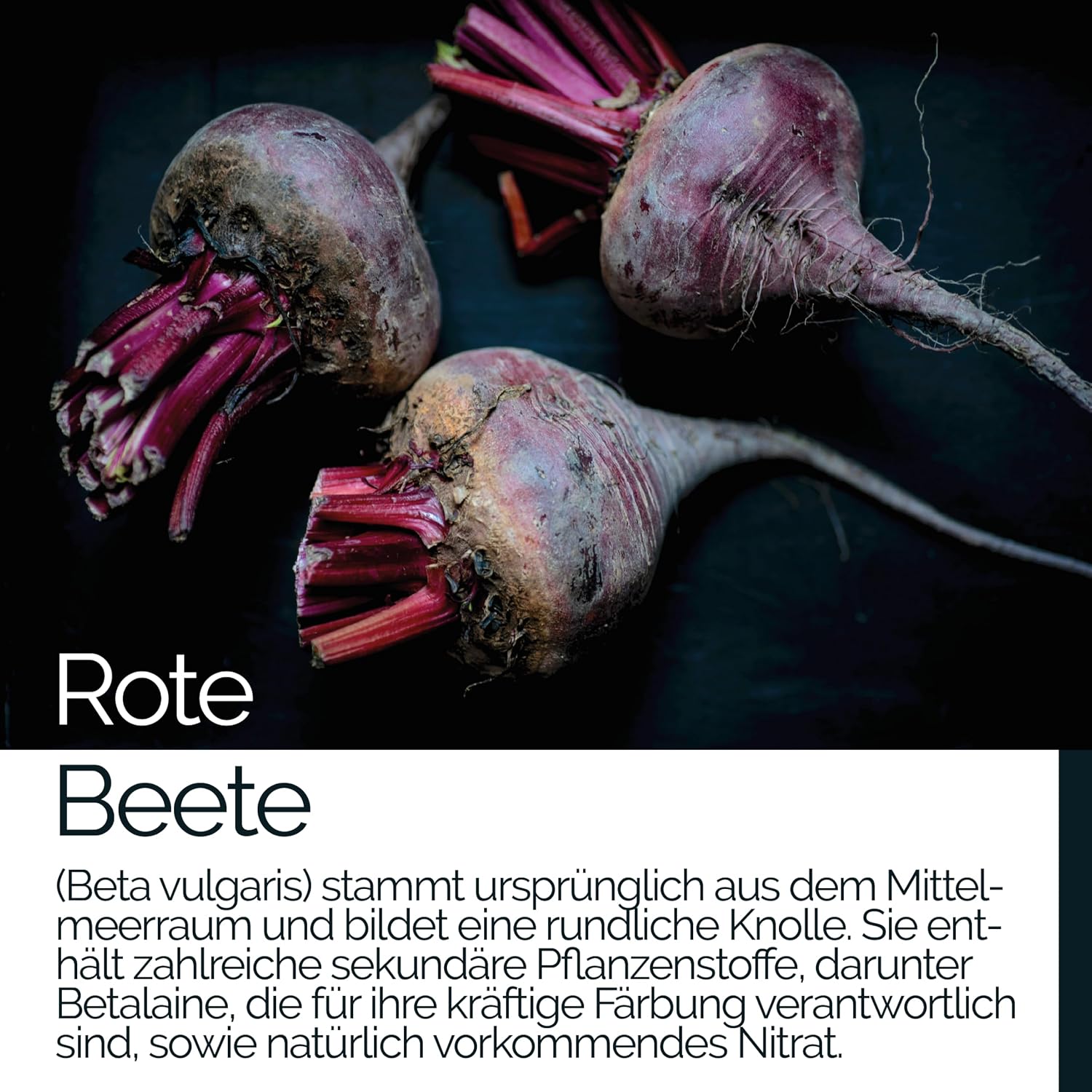 Detalle 1 de Rote Beete Extrakt 90 Kapseln hochdosiert