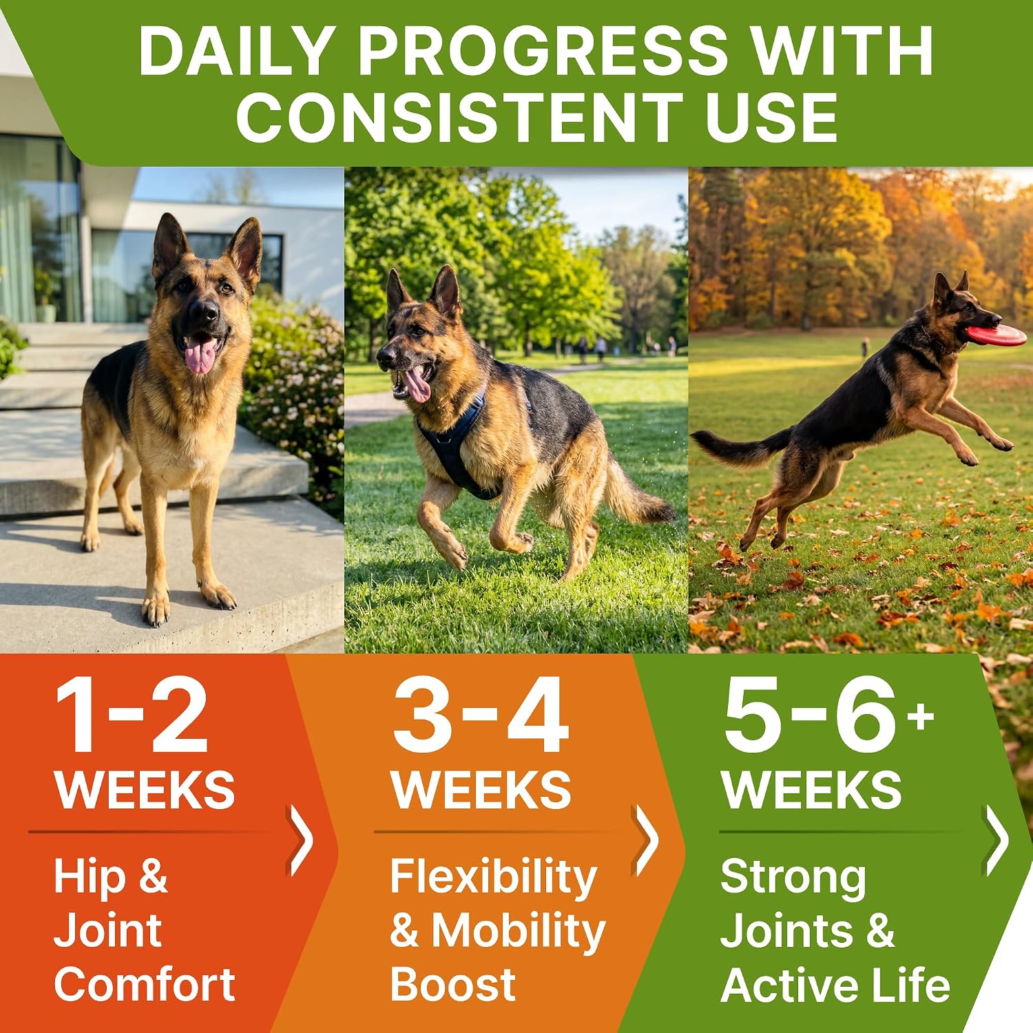 Detalle 2 de STRELLALAB Dog Joint Supplement, 120 Count
