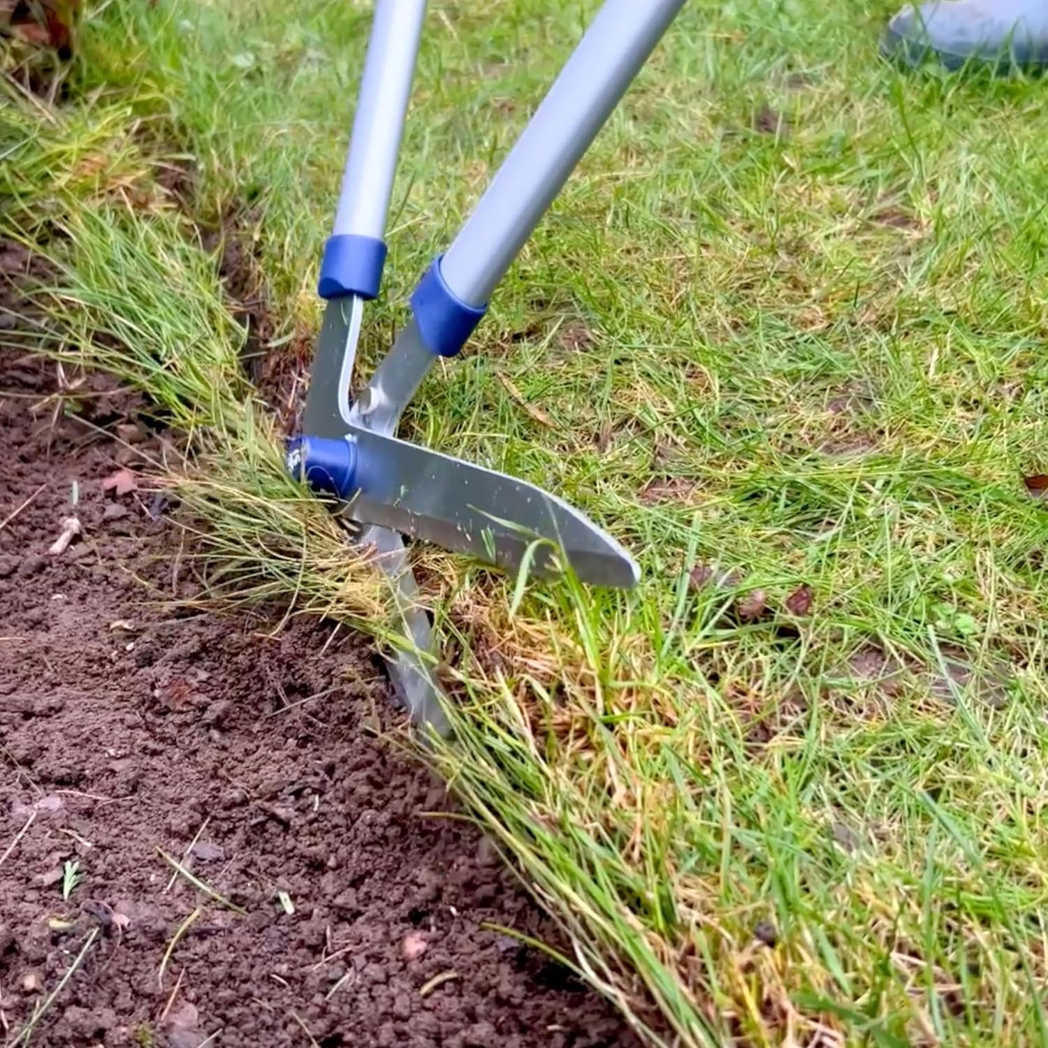 Detalle 2 de Spear & Jackson 4900RSS Cesoie in Acciaio per Bordure – Gamma Razorsharp