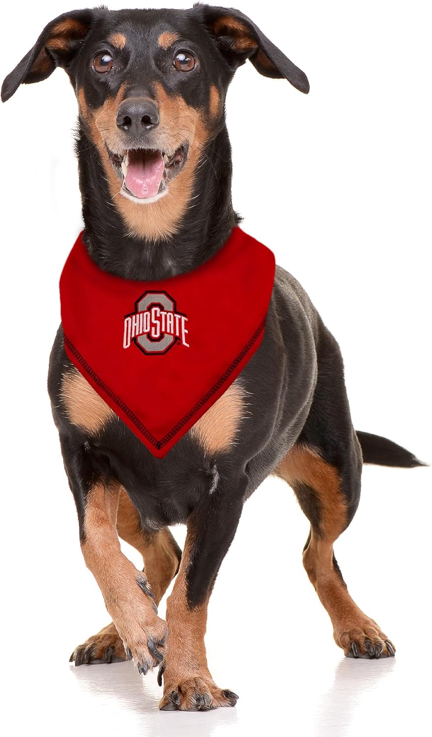 Detalle 2 de NCAA Ohio State Buckeyes Tie Bandana (Large/x-Large) for Dogs & Cats
