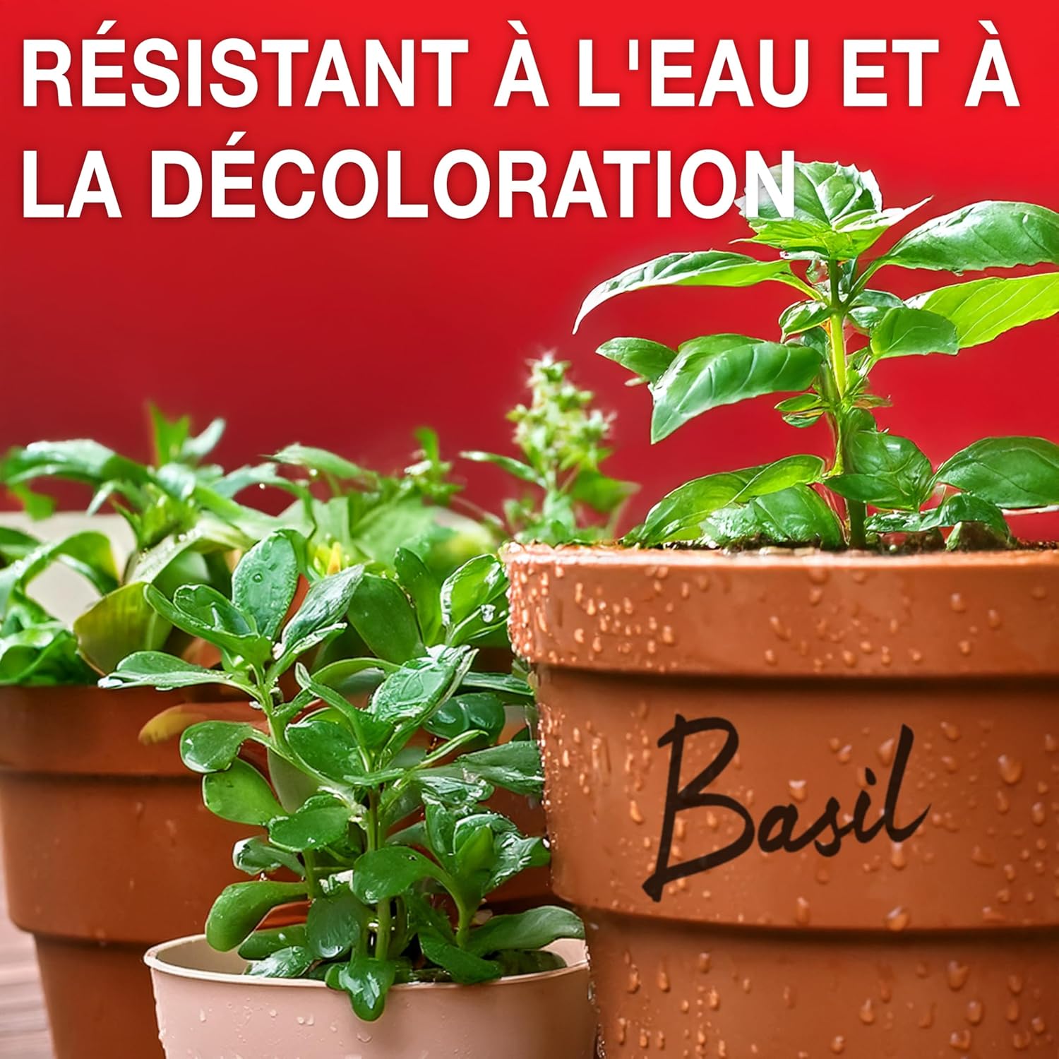 Thumbnail 4 de Sharpie marqueurs indélébiles Boîte de 12 ✏️