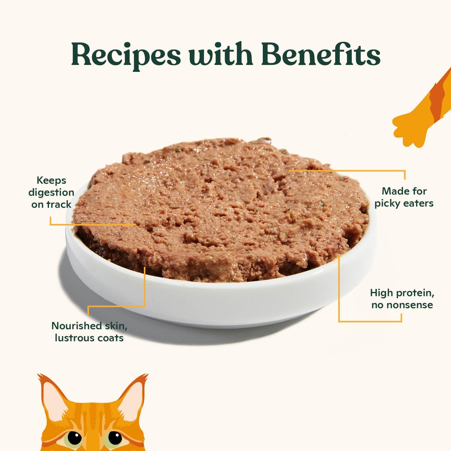 Detalle de Made by Nacho Wet Cat Food, Salmon & Sole