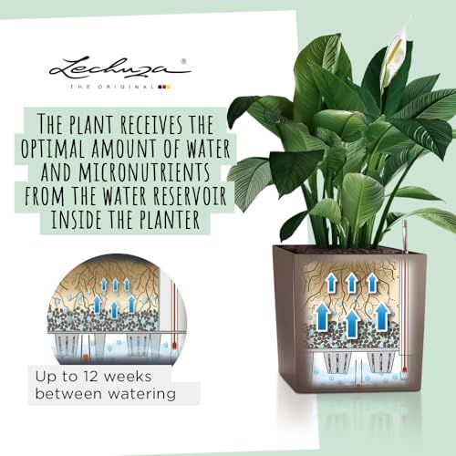 Thumbnail 2 de LECHUZA Cube Premium 40 Blanco Brillante 40 cm