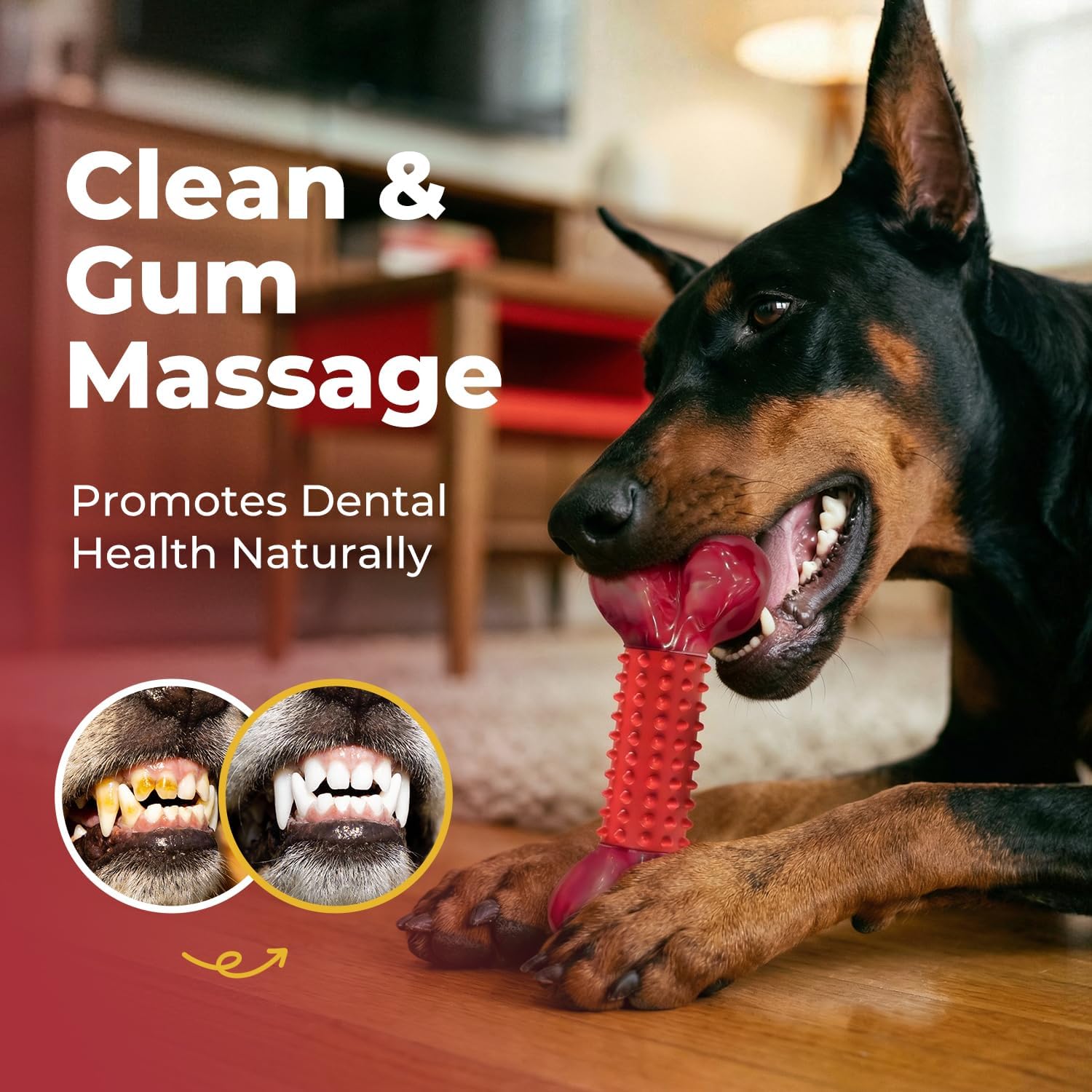 Detalle 2 de Apasiri dog toys Beef-Flavored Large Nylon and Rubber Chew Bone