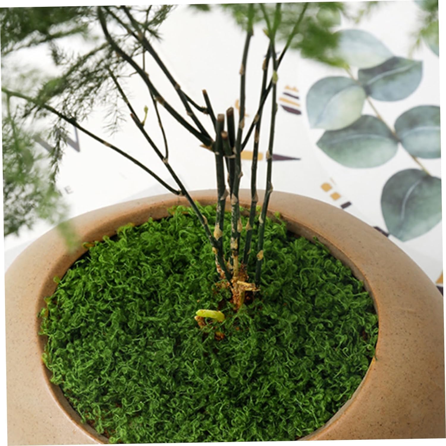 Detalle de YUNXIASW Artificial Moss 50g – Realistic Lichen for Pots, Craft & Garden