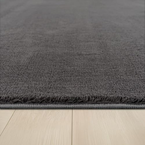 Detalle 2 de TT Home Tapis Poil Ras 300x400 cm 📏