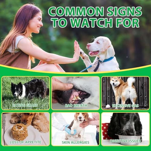 Thumbnail 8 de Probiotici per Cani Bieyoc: Gommosi probiotiche con enzimi digestivi per supportare intestino, immunità e salute generale