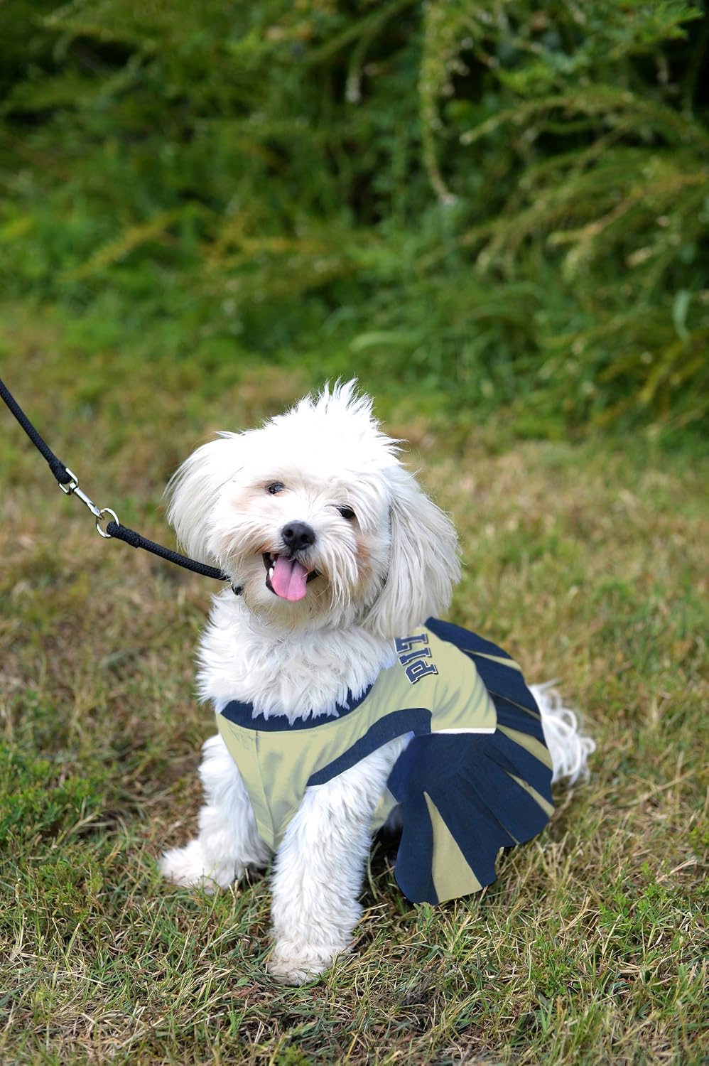 Detalle de Pets First NCAA Pittsburgh Panthers Dog Cheerleader Outfit (X-Small)