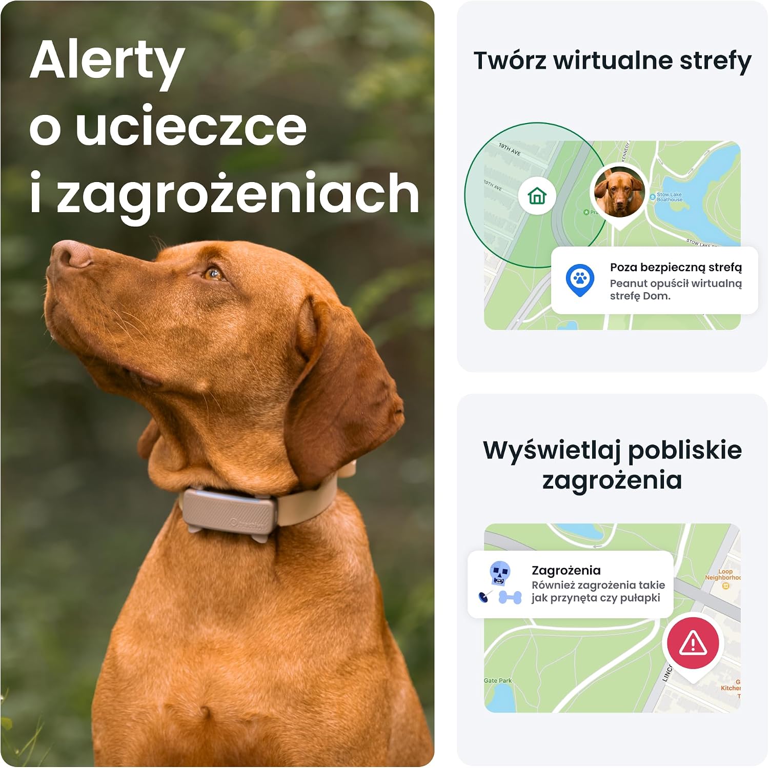 Detalle de Tractive GPS 2025 Edition — lokalizator dla psa z GPS i alertami