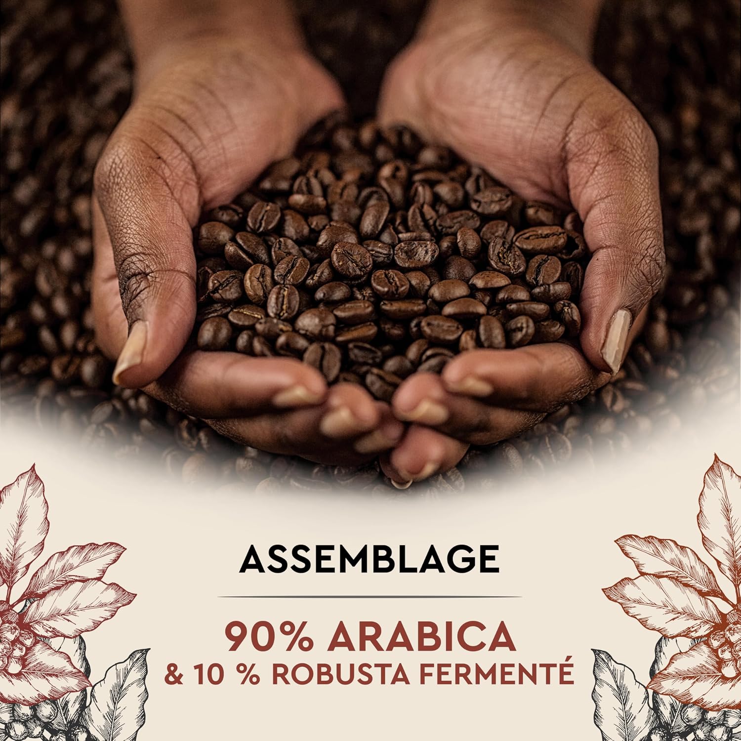 Detalle 2 de Carte Noire Café en grains 500 g