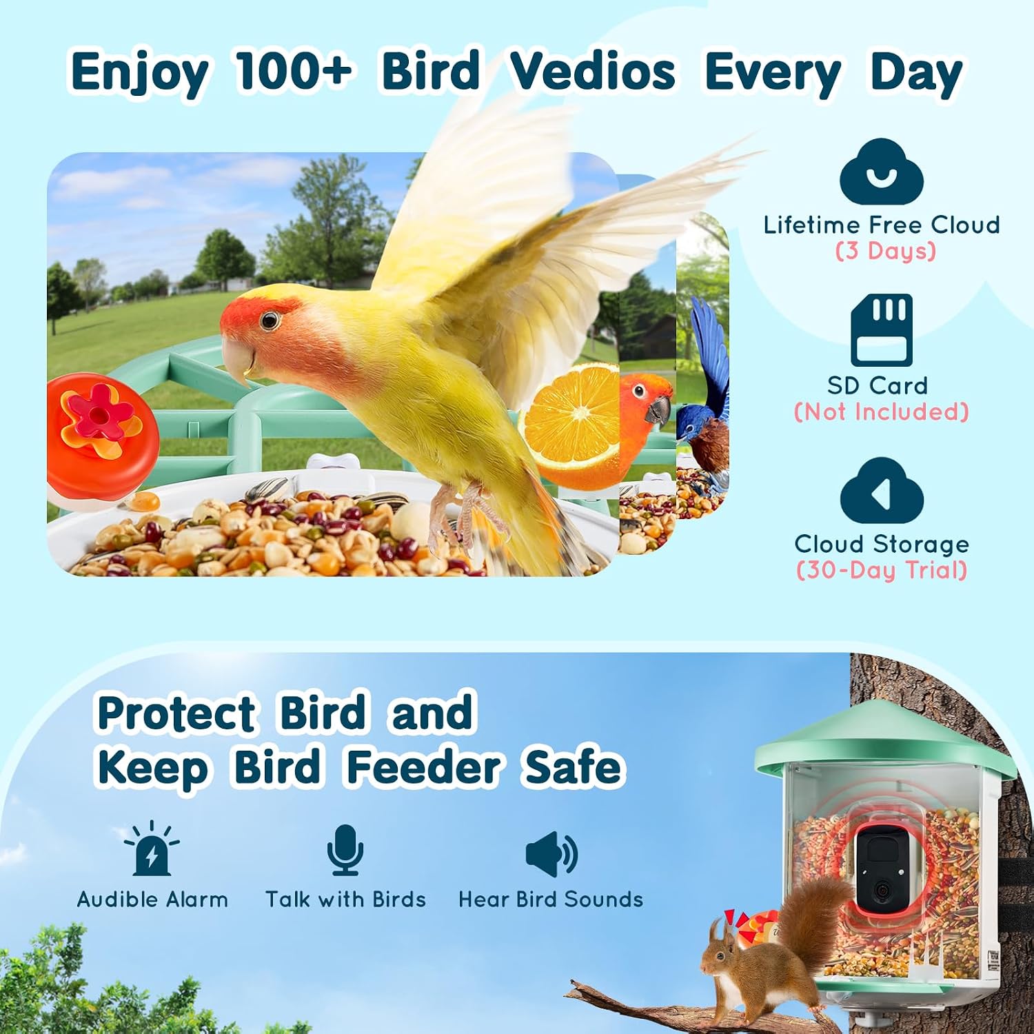 Thumbnail 4 de VEVOR Mangeoire Oiseaux avec Caméra Intelligente 2K HD – 10000 espèces identifiées, solaire et IA