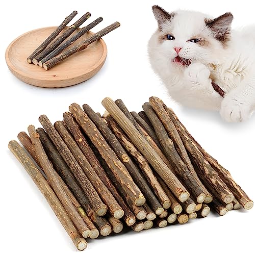 OSDUE Palitos de Hierba Gatera para Gatos — 32 Palitos 100% Orgánicos