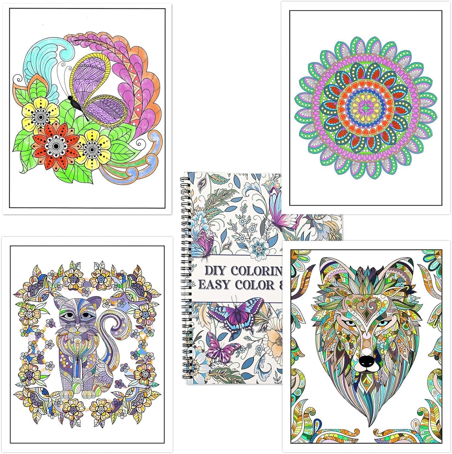 Detalle de Zylota Colouring Book for Adults: Malbuch-Set für Erwachsene mit Marker-Set und 30 Motiven