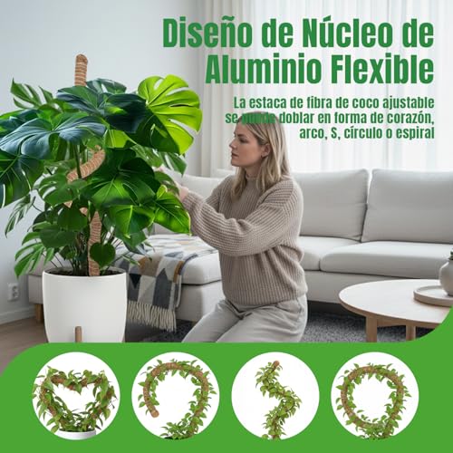 Thumbnail 4 de McBazel Tutor Monstera 120 cm con Alma de Aluminio y 4 cm de diámetro