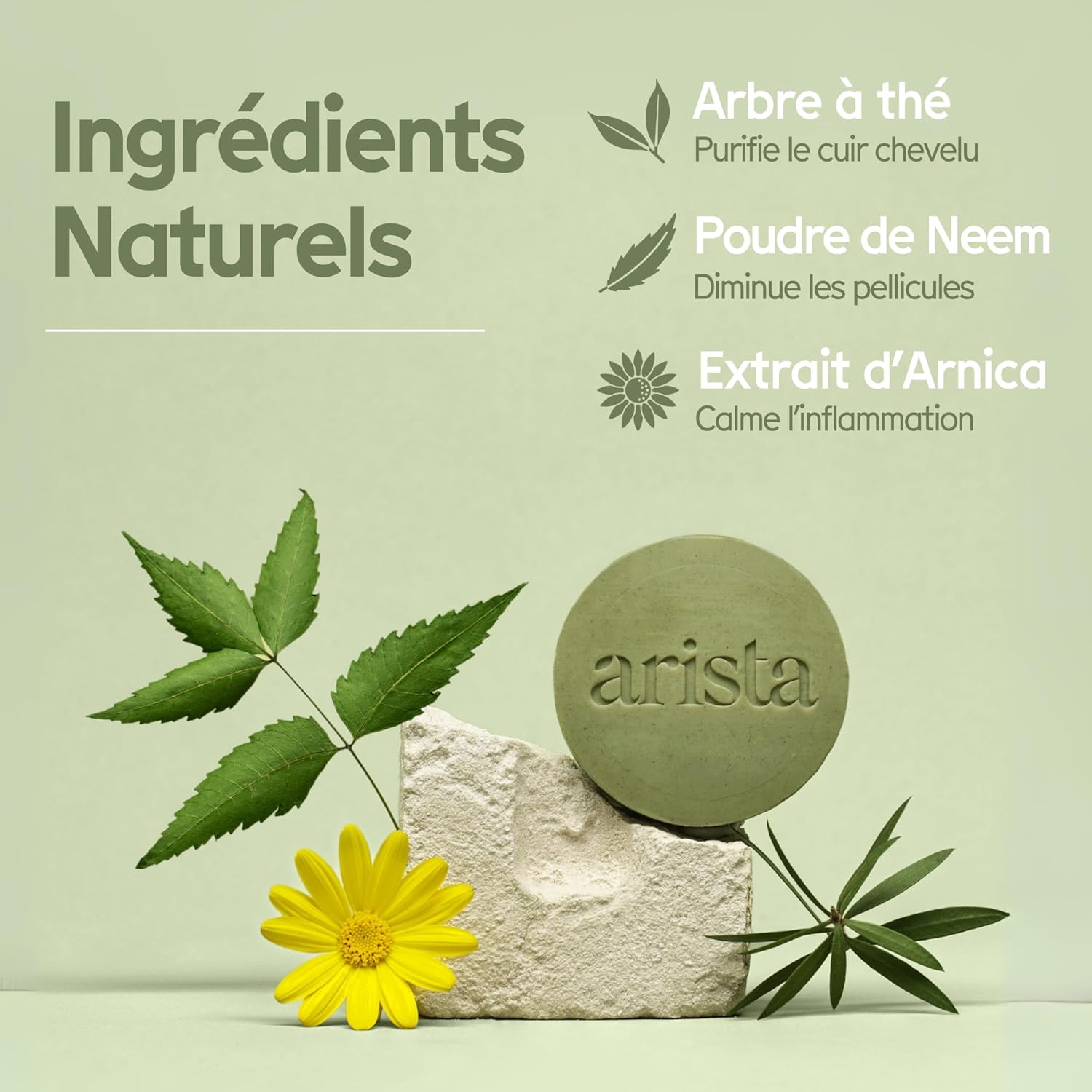 Thumbnail 2 de Arista Shampoing solide antipelliculaire Tea Tree, Neem & Arnica (sans sulfate, vegan)