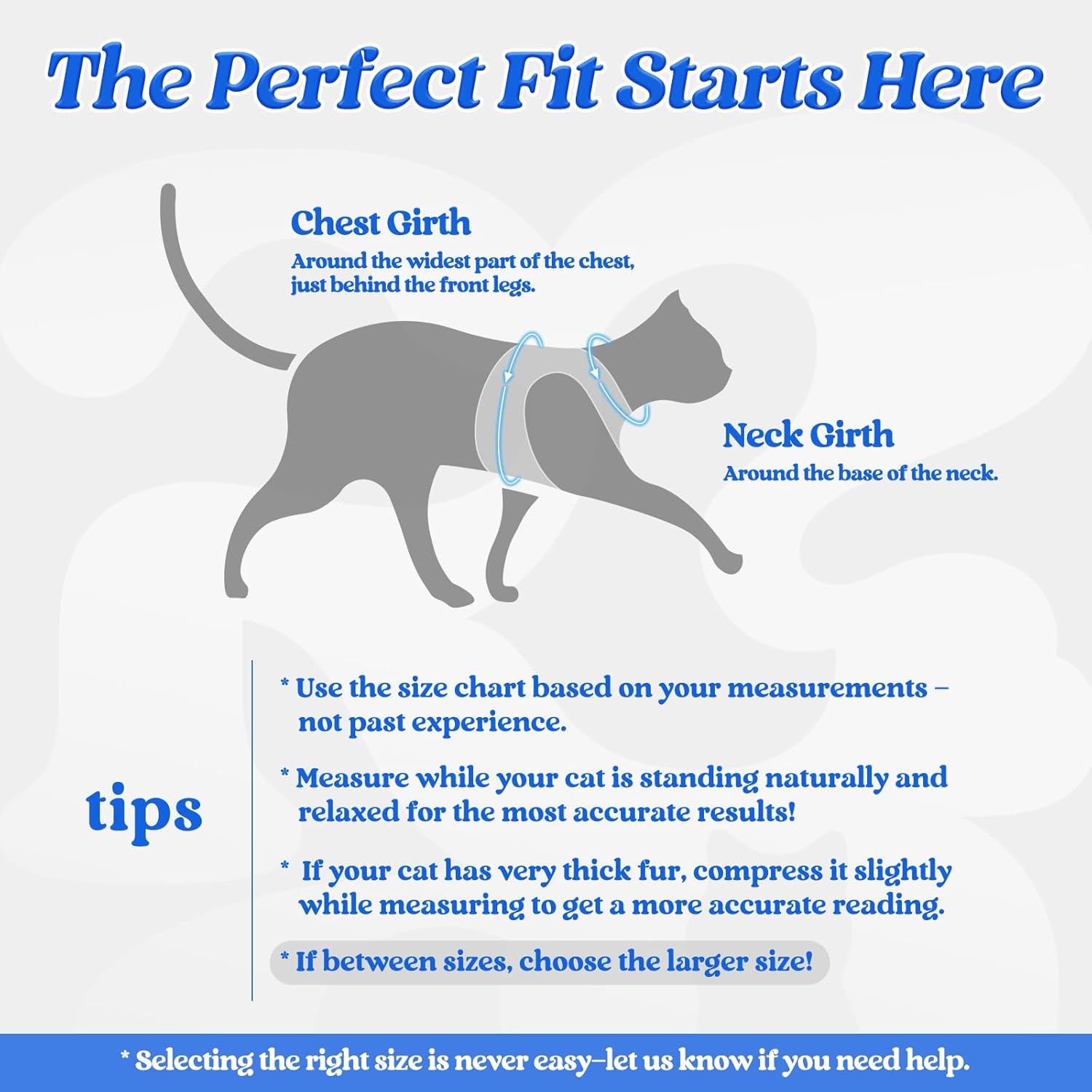 Detalle de rabbitgoo Cat Harness and Leash Set for Extra Small Cats: Escape-Proof Vest Harness with Reflective Strip (Blue, Large)
