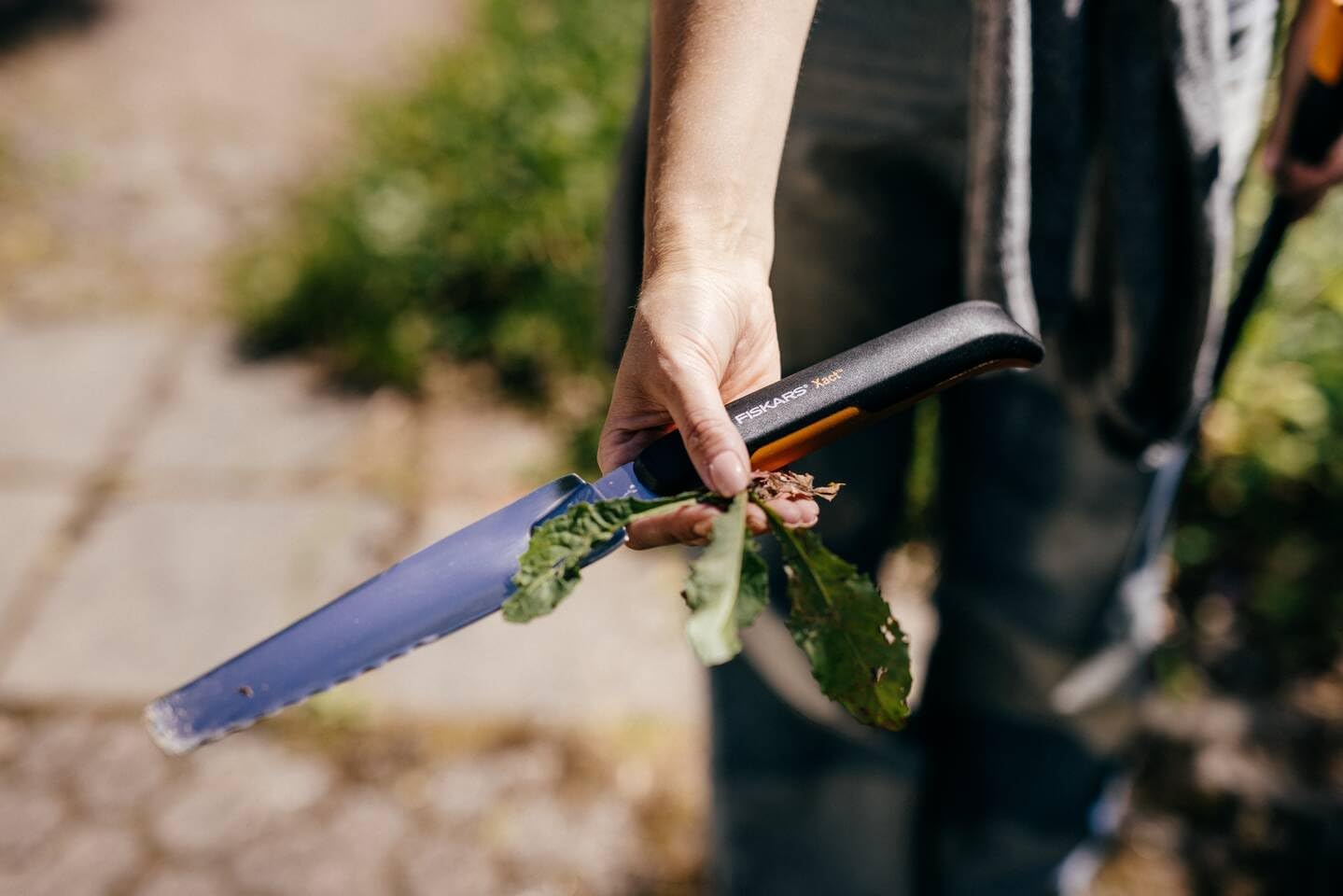 Detalle 1 de Fiskars Xact 1027046 ogrässtickare för djupa rötter, 39,6 cm