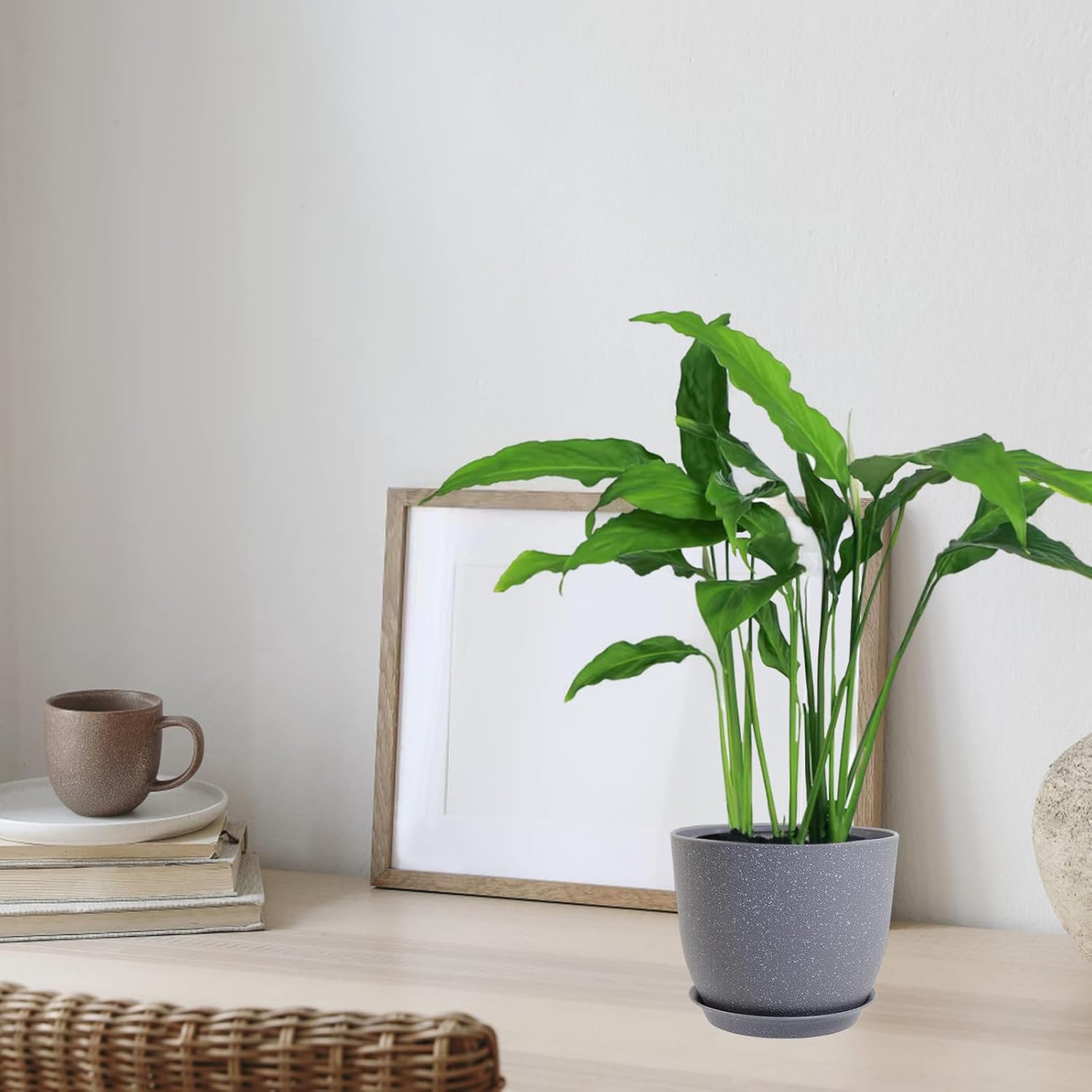 Thumbnail 3 de PROFIKLA plant pots set of 3, 20cm